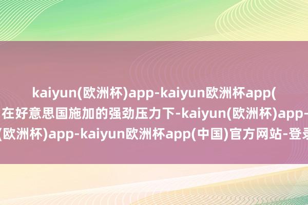 kaiyun(欧洲杯)app-kaiyun欧洲杯app(中国)官方网站-登录入口在好意思国施加的强劲压力下-kaiyun(欧洲杯)app-kaiyun欧洲杯app(中国)官方网站-登录入口