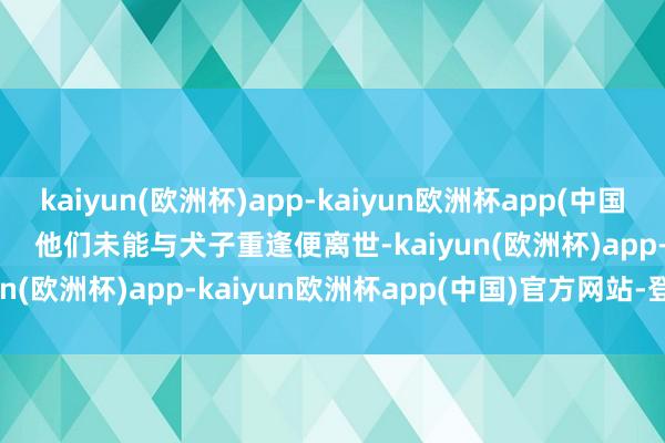 kaiyun(欧洲杯)app-kaiyun欧洲杯app(中国)官方网站-登录入口        他们未能与犬子重逢便离世-kaiyun(欧洲杯)app-kaiyun欧洲杯app(中国)官方网站-登录入口