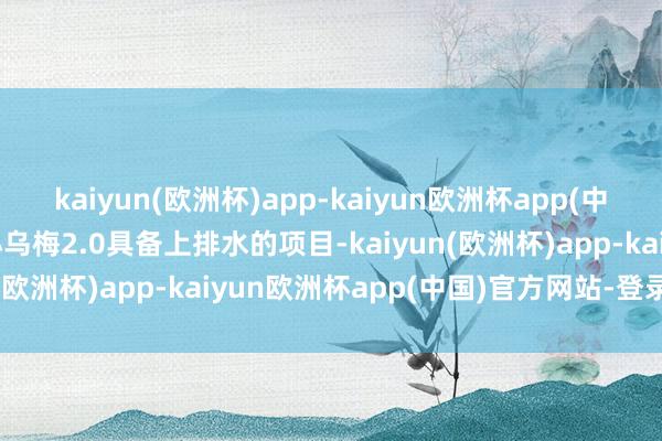 kaiyun(欧洲杯)app-kaiyun欧洲杯app(中国)官方网站-登录入口小乌梅2.0具备上排水的项目-kaiyun(欧洲杯)app-kaiyun欧洲杯app(中国)官方网站-登录入口