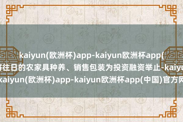 kaiyun(欧洲杯)app-kaiyun欧洲杯app(中国)官方网站-登录入口将往日的农家具种养、销售包装为投资融资举止-kaiyun(欧洲杯)app-kaiyun欧洲杯app(中国)官方网站-登录入口