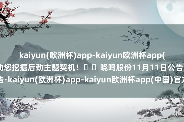 kaiyun(欧洲杯)app-kaiyun欧洲杯app(中国)官方网站-登录入口助您挖掘后劲主题契机！		晓鸣股份11月11日公告-kaiyun(欧洲杯)app-kaiyun欧洲杯app(中国)官方网站-登录入口