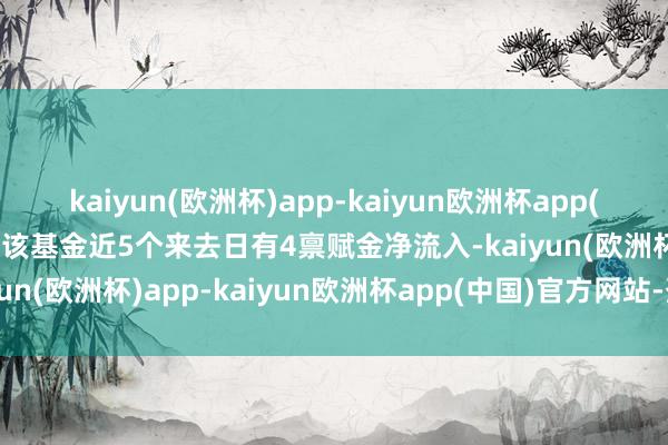kaiyun(欧洲杯)app-kaiyun欧洲杯app(中国)官方网站-登录入口该基金近5个来去日有4禀赋金净流入-kaiyun(欧洲杯)app-kaiyun欧洲杯app(中国)官方网站-登录入口