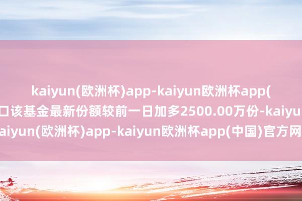 kaiyun(欧洲杯)app-kaiyun欧洲杯app(中国)官方网站-登录入口该基金最新份额较前一日加多2500.00万份-kaiyun(欧洲杯)app-kaiyun欧洲杯app(中国)官方网站-登录入口