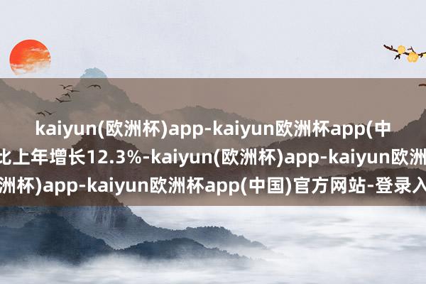 kaiyun(欧洲杯)app-kaiyun欧洲杯app(中国)官方网站-登录入口比上年增长12.3%-kaiyun(欧洲杯)app-kaiyun欧洲杯app(中国)官方网站-登录入口