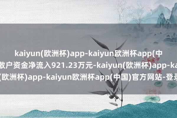 kaiyun(欧洲杯)app-kaiyun欧洲杯app(中国)官方网站-登录入口散户资金净流入921.23万元-kaiyun(欧洲杯)app-kaiyun欧洲杯app(中国)官方网站-登录入口