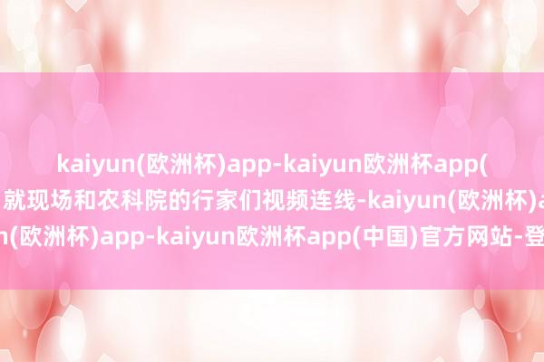 kaiyun(欧洲杯)app-kaiyun欧洲杯app(中国)官方网站-登录入口就现场和农科院的行家们视频连线-kaiyun(欧洲杯)app-kaiyun欧洲杯app(中国)官方网站-登录入口