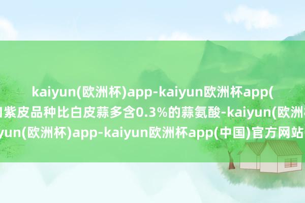 kaiyun(欧洲杯)app-kaiyun欧洲杯app(中国)官方网站-登录入口紫皮品种比白皮蒜多含0.3%的蒜氨酸-kaiyun(欧洲杯)app-kaiyun欧洲杯app(中国)官方网站-登录入口