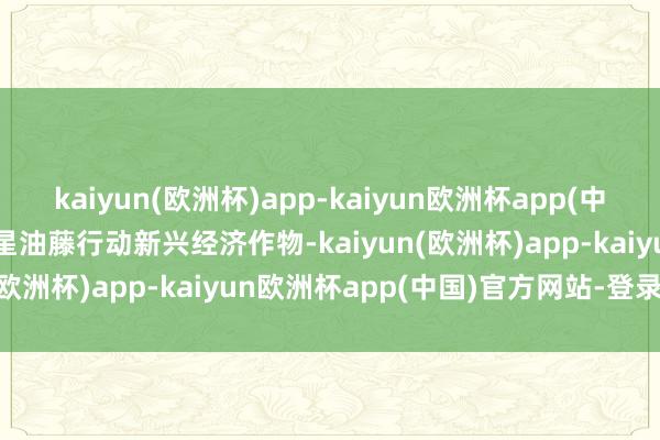 kaiyun(欧洲杯)app-kaiyun欧洲杯app(中国)官方网站-登录入口  星油藤行动新兴经济作物-kaiyun(欧洲杯)app-kaiyun欧洲杯app(中国)官方网站-登录入口