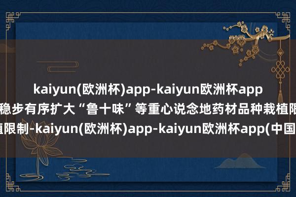 kaiyun(欧洲杯)app-kaiyun欧洲杯app(中国)官方网站-登录入口稳步有序扩大“鲁十味”等重心说念地药材品种栽植限制-kaiyun(欧洲杯)app-kaiyun欧洲杯app(中国)官方网站-登录入口