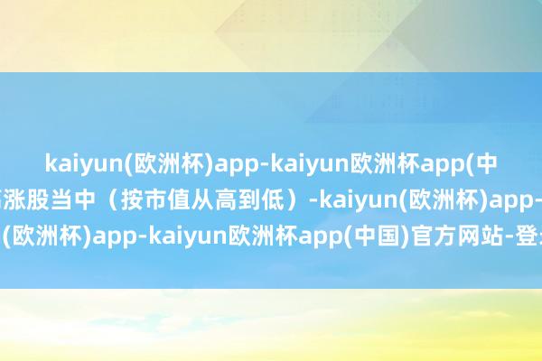 kaiyun(欧洲杯)app-kaiyun欧洲杯app(中国)官方网站-登录入口　　高涨股当中（按市值从高到低）-kaiyun(欧洲杯)app-kaiyun欧洲杯app(中国)官方网站-登录入口